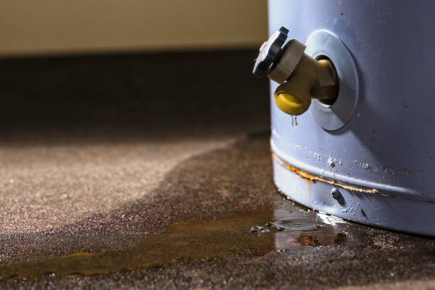 Best Flooded house restoration  in Byram, CT
