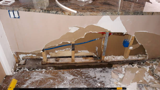 Best Professional water damage repair  in Byram, CT