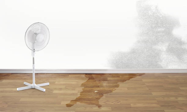 Best Water damage restoration company  in Byram, CT