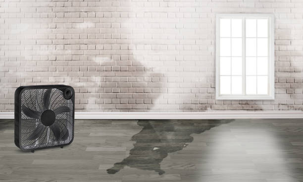 Best Fire Damage Restoration  in Byram, CT