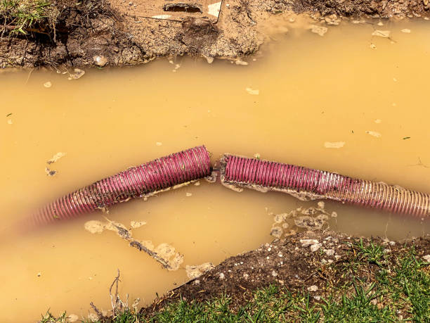 Best Water damage restoration mold remediation  in Byram, CT